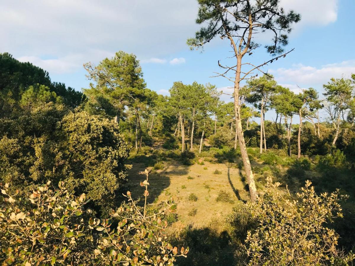 Standing Et Ocean A 50M, Appartement De L'Oasis Saint-Jean-de-Monts Kültér fotó